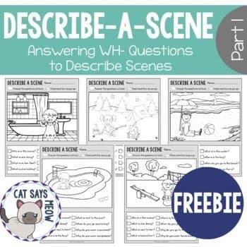 Wh- Questions: No Prep Freebie! Describe a Scene Worksheets by Cat Says Meow